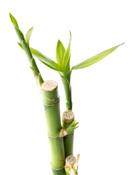 Dell EMC ML3/ML3E磁帶庫和擴(kuò)展 - 選擇磁帶，與綠色同行